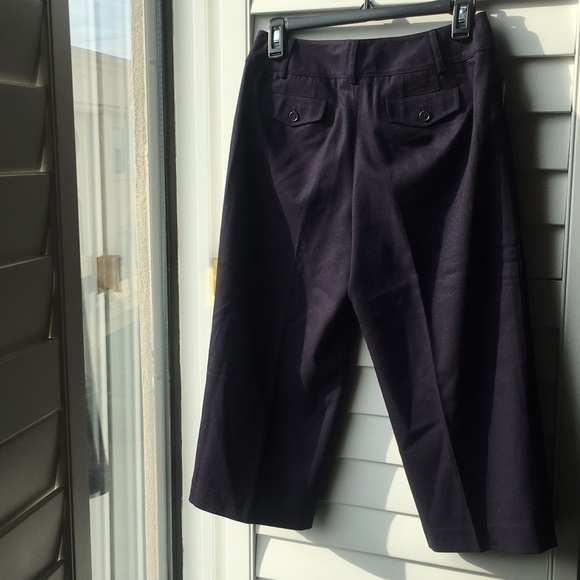 Blue lined stretch wool Talbots gauchos - Picture 4 of 6
